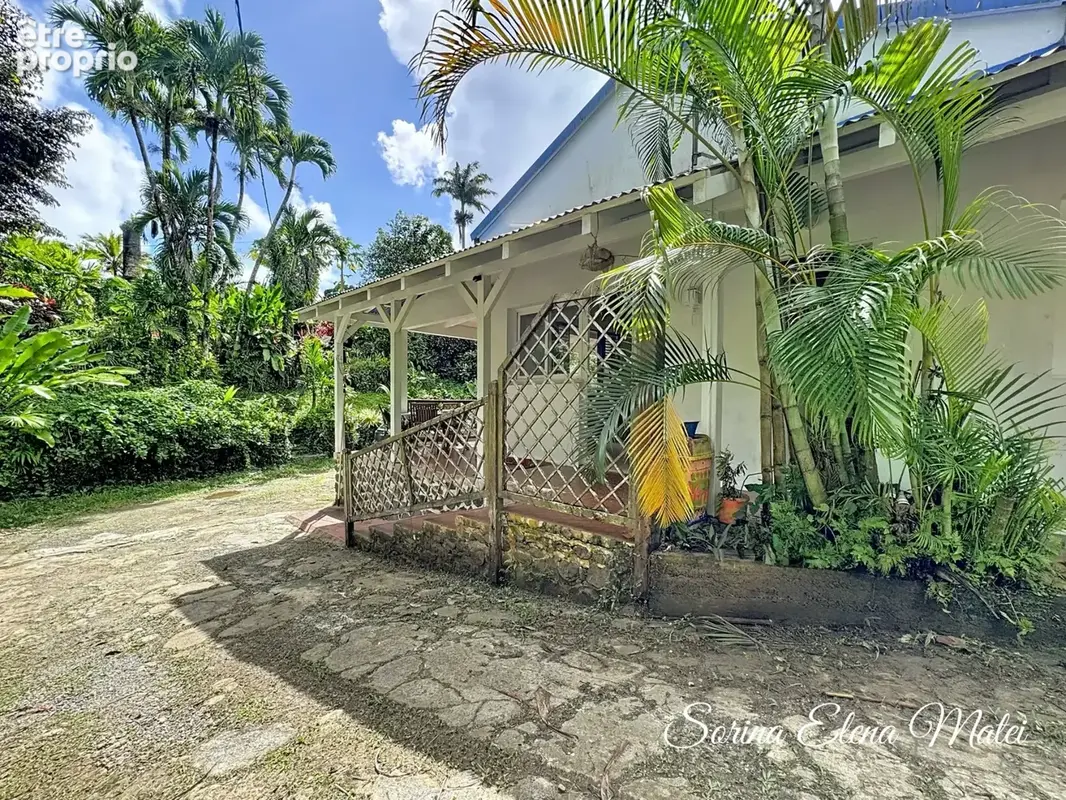 Maison avec piscine au cœur d’un écrin tropical - 5 pièces PETIT BOURG (971) - photo 22
