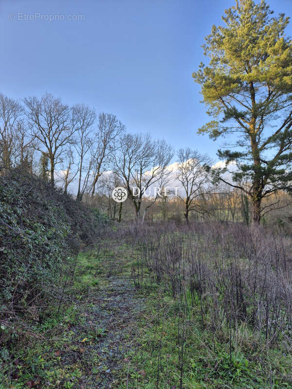 Terrain à LA ROCHE-SUR-YON