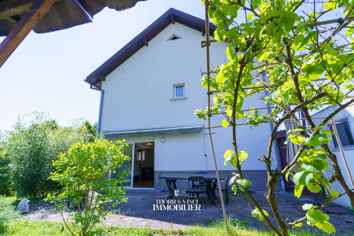 Maison à HAUSGAUEN