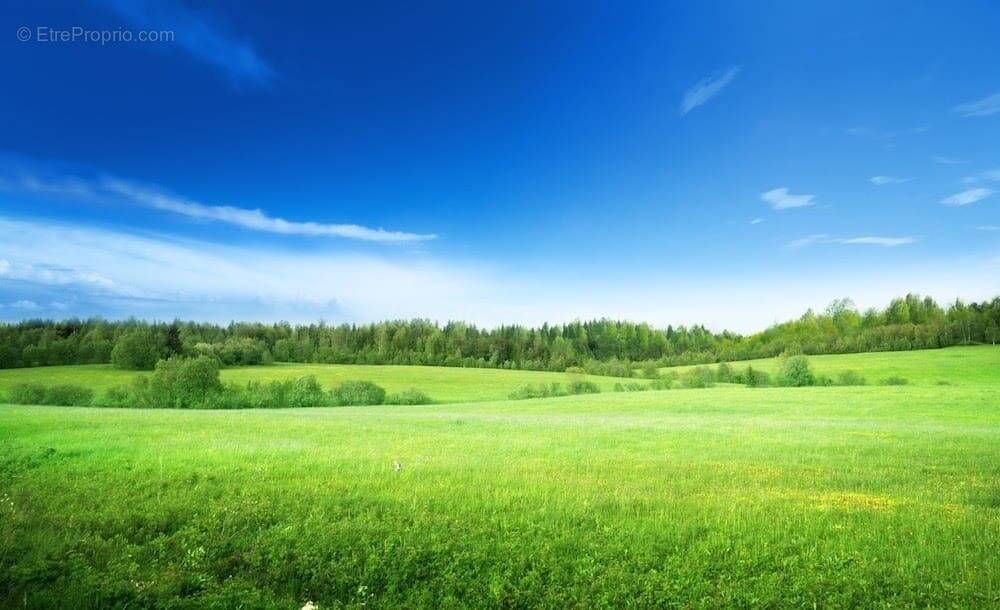Terrain à LA RABATELIERE