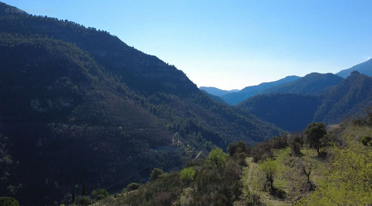 Maison à BREIL-SUR-ROYA