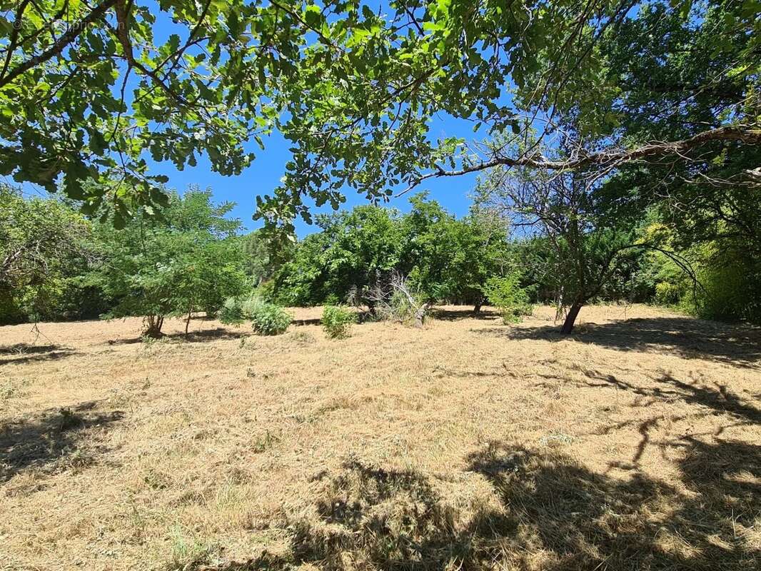 Terrain 1200 m2 - photo 3