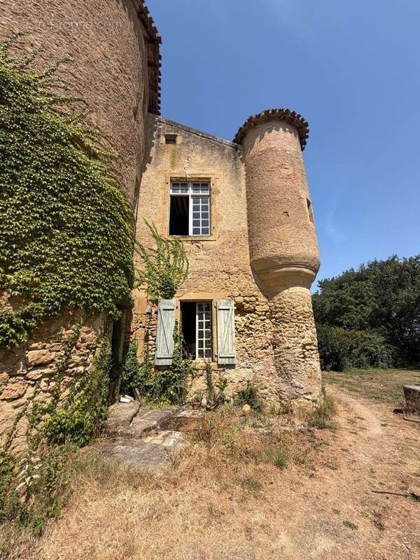 MARCIAC(32): ancienne SEIGNEURIE avec BEAU CHATEAU XIV sur 3,5ha, cachée, au bout du chemin, sans voisin, en campagne, 500m2 hab - photo 5
