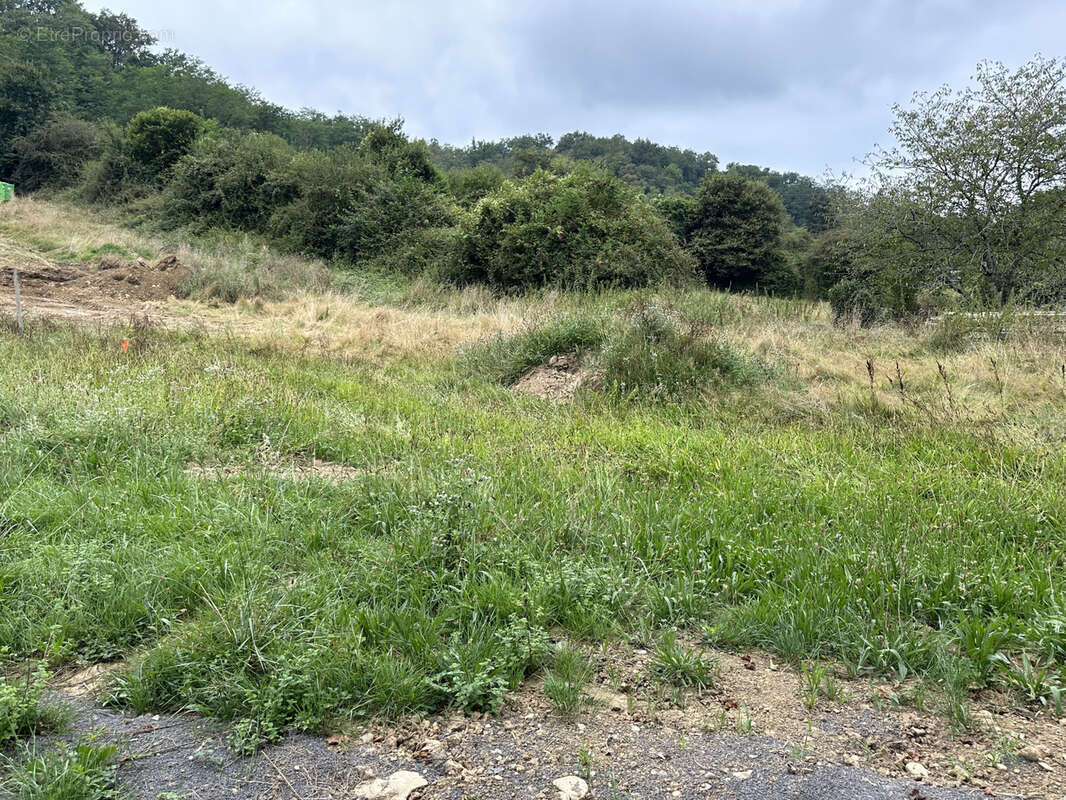 Terrain à bâtir de 1.006 m2 - photo 3