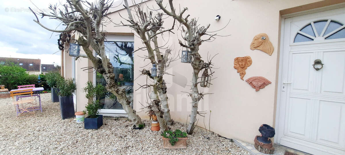 Maison à VILLEFARGEAU