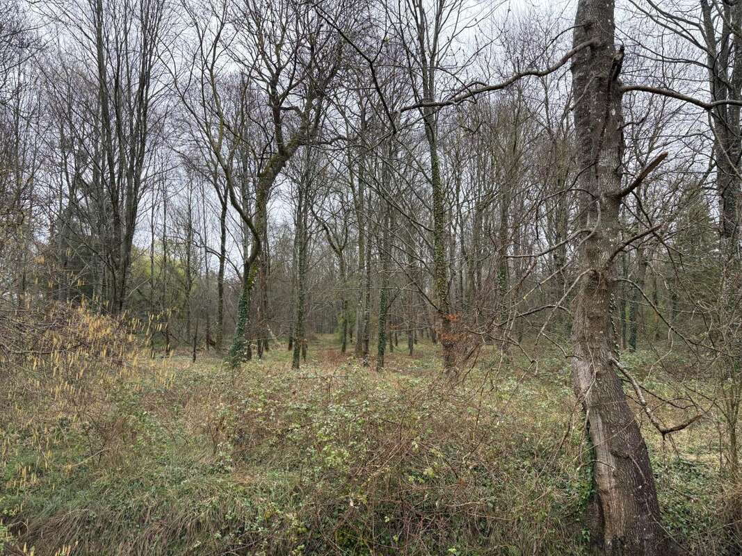 Terrain 49799 m² à Les Fosses  - photo 2