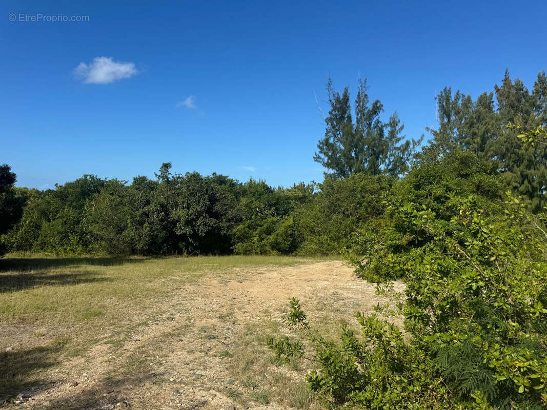 Terrain à SAINT-MARTIN