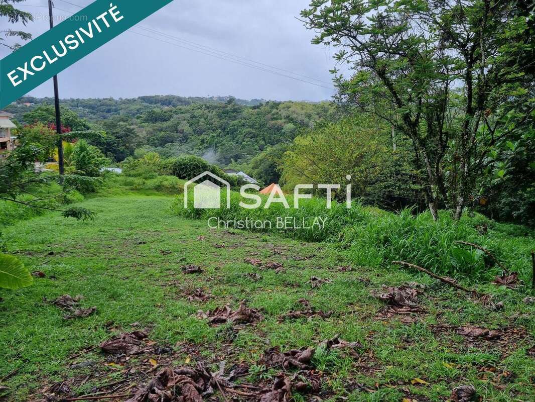 Photo 8 - Terrain à LE LAMENTIN