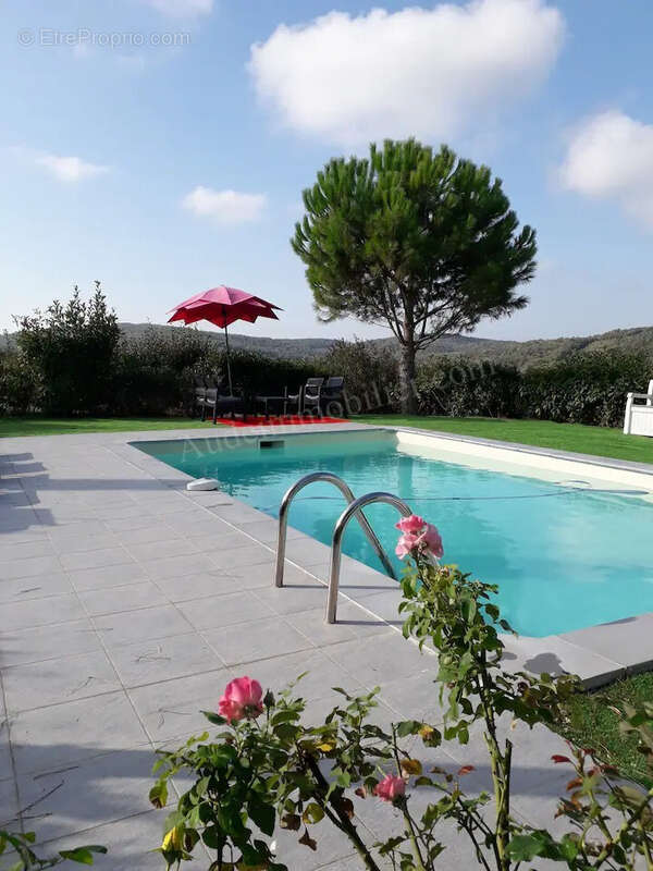 Maisons avec piscine et vue sur les Pyrénées - photo 13