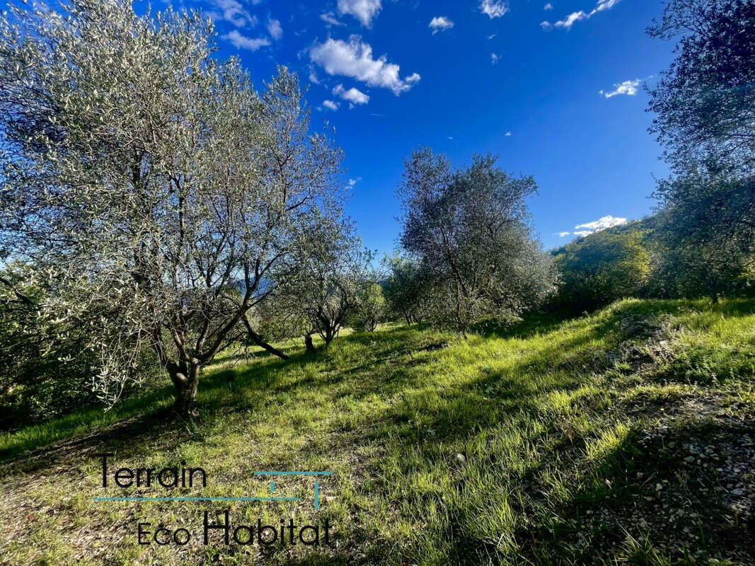 Terrain à CARROS