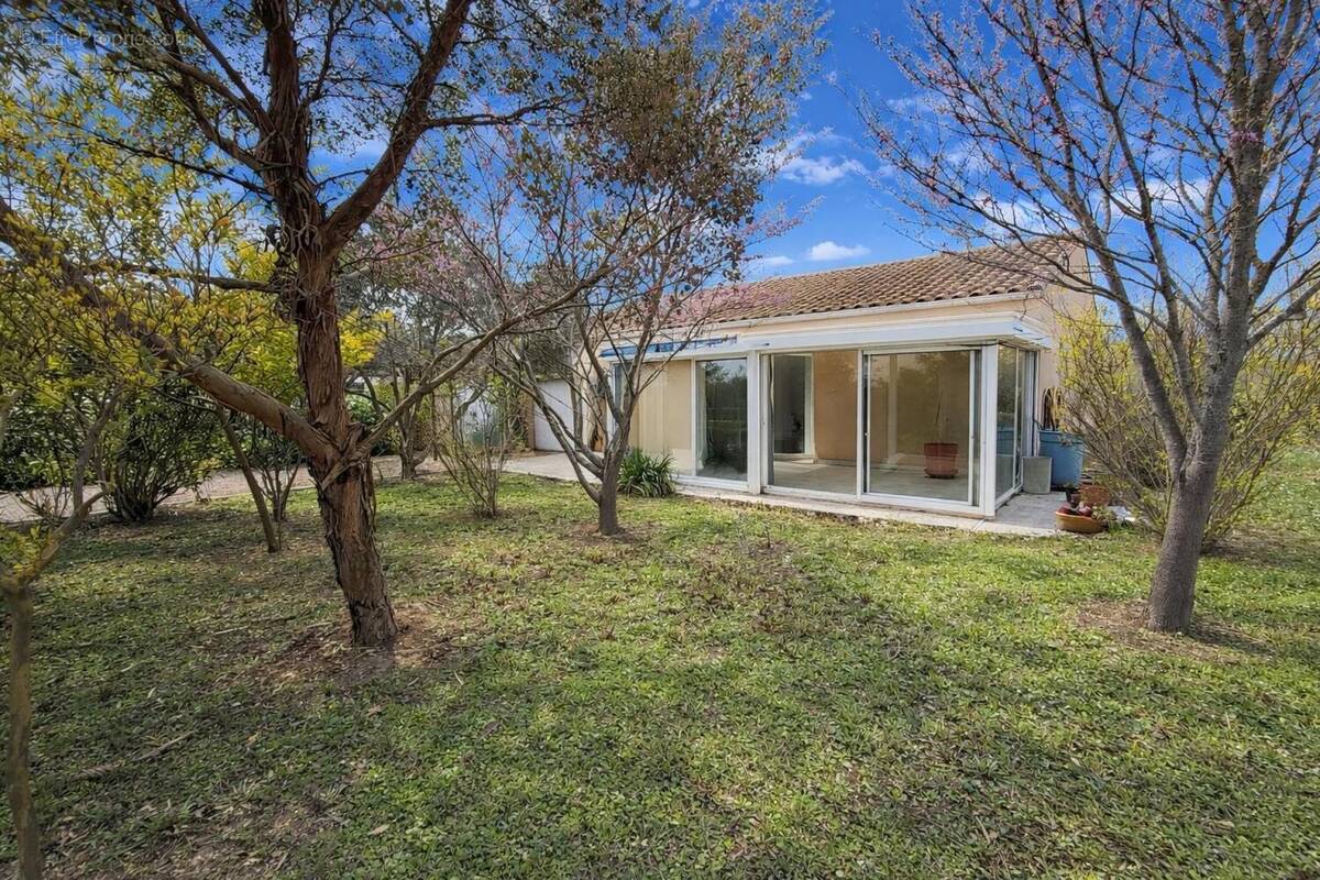 Photo 1 - Maison à PENNAUTIER