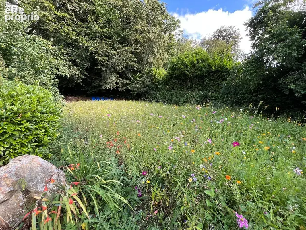 Maison 5 chambres avec un parc boisé - photo 14