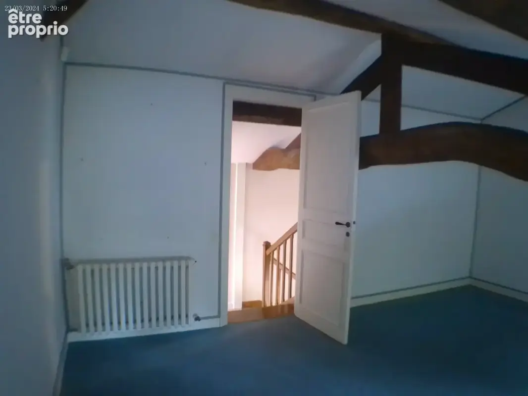 COGNAC - A Vendre Maison de Caractère SAINT BRICE - photo 45