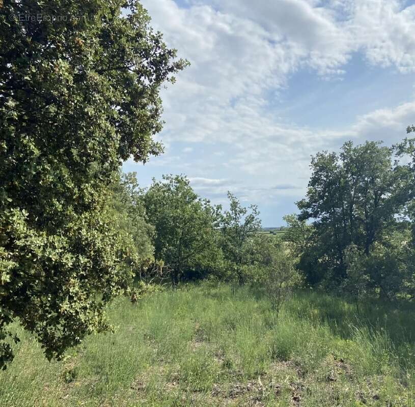 Terrain à PUILACHER