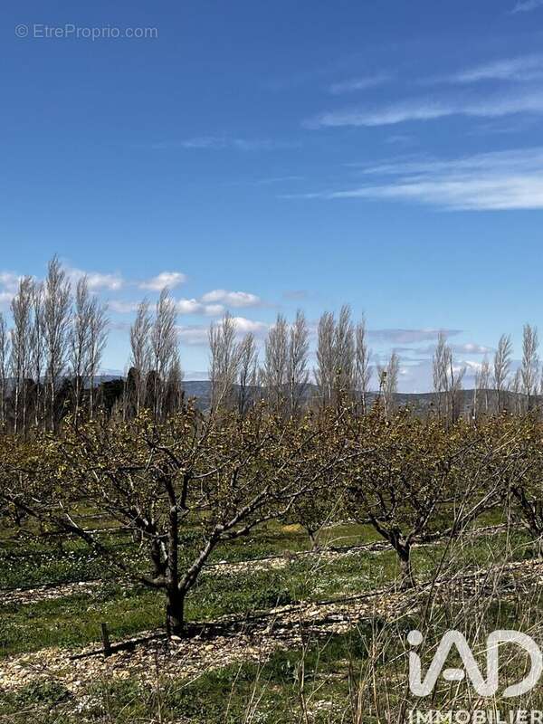 Photo 3 - Terrain à SALSES-LE-CHATEAU
