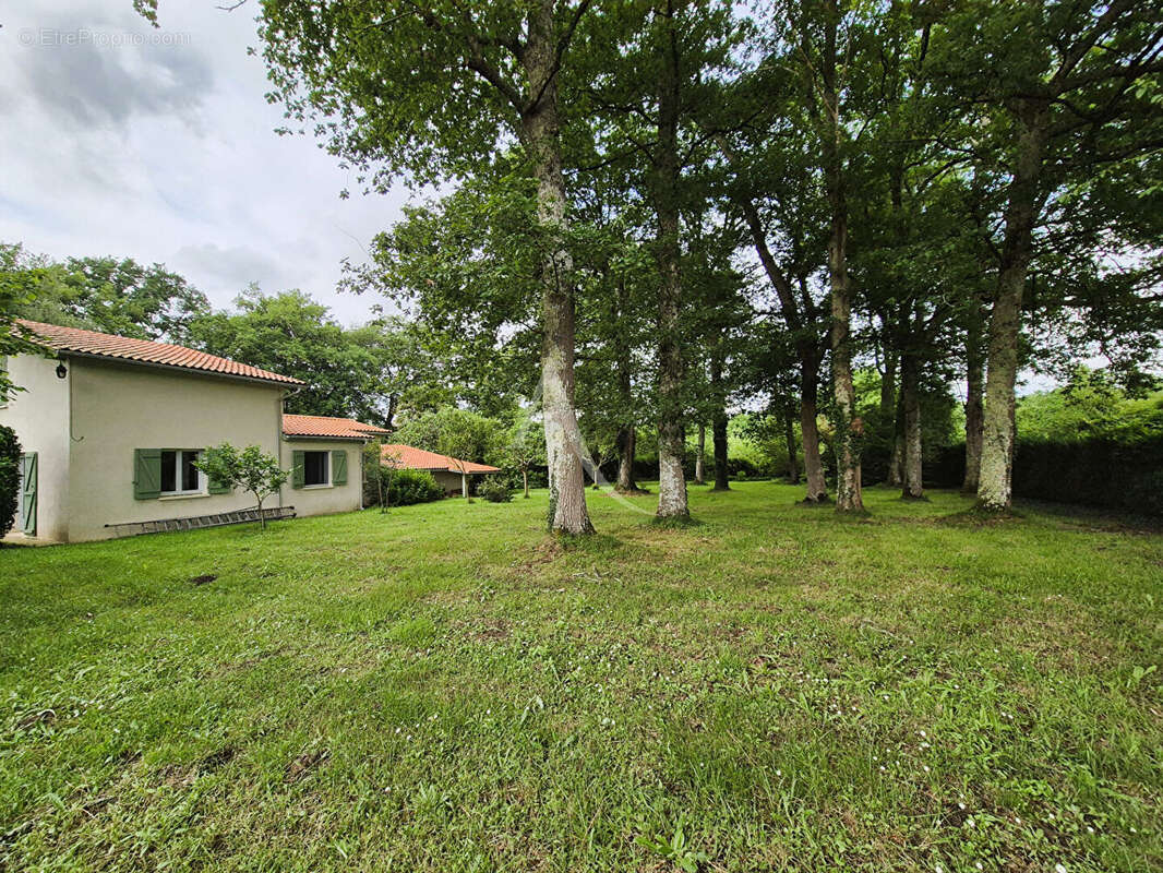 Maison à SAINT-GEIN