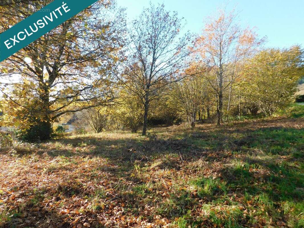 Photo 3 - Terrain à SENONES