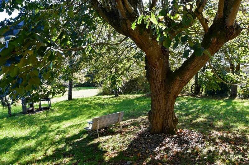 Maison à CASTELNAVET