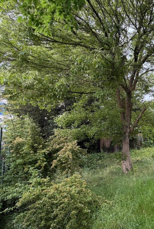 Terrain à EPINAY-SUR-ORGE