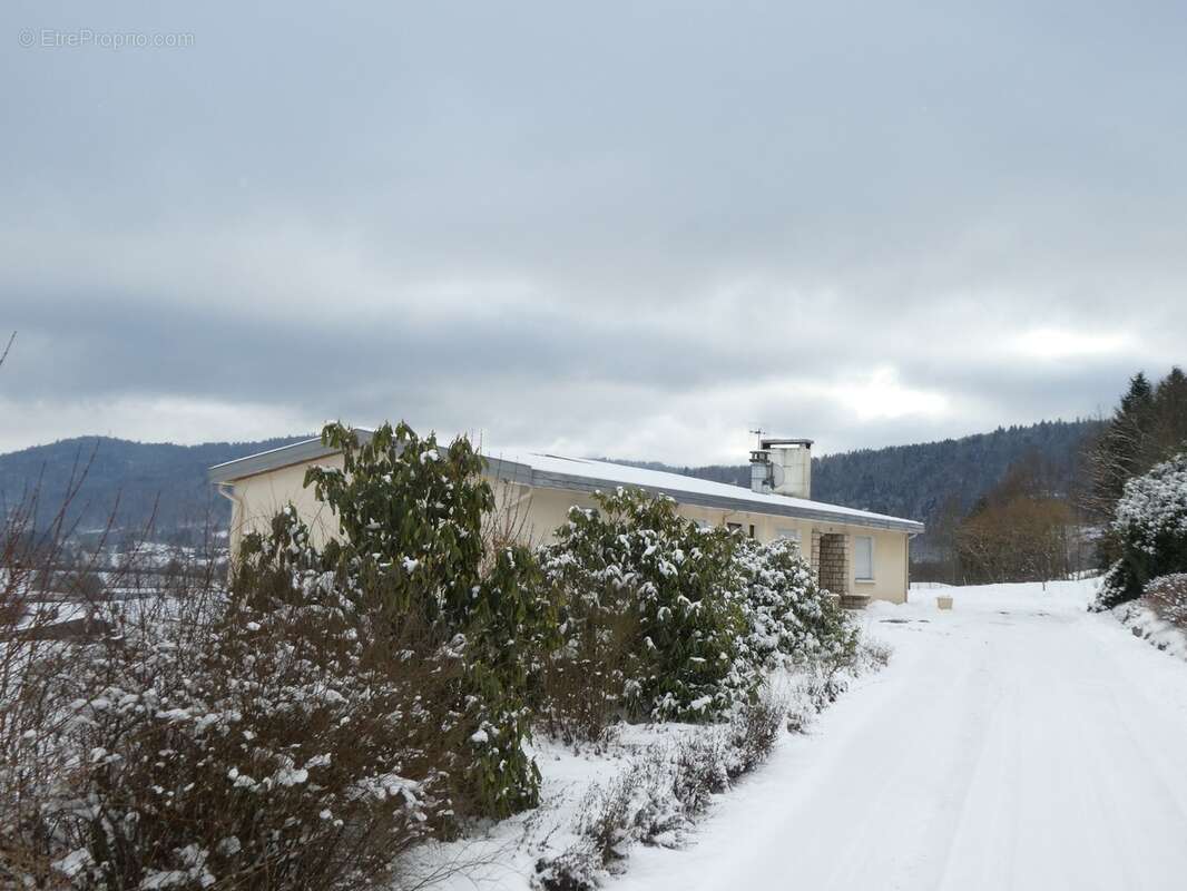 RUPT SUR MOSELLE (88)A vendre propriété T 10 pièces de 195m² sur sous sol + 4 box à chevaux +rucher, terrain 3.6 hectares - photo 3