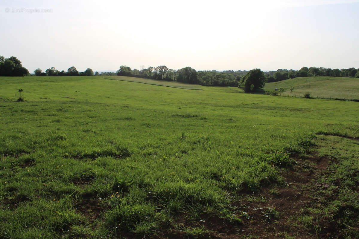 Maison à ANGLARDS-DE-SALERS