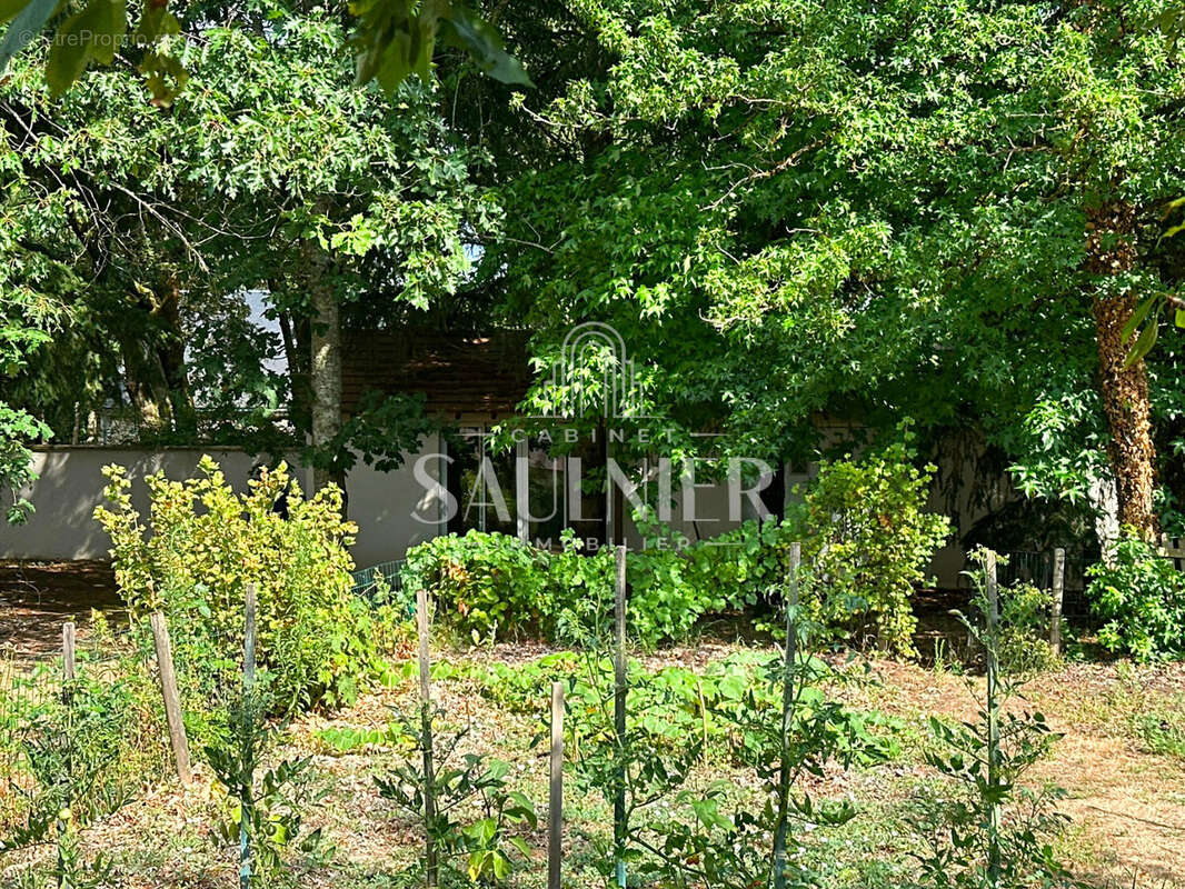 Le-Controis-en-Sologne (FRESNES) - Propriété de plain-pied avec piscine - photo 23