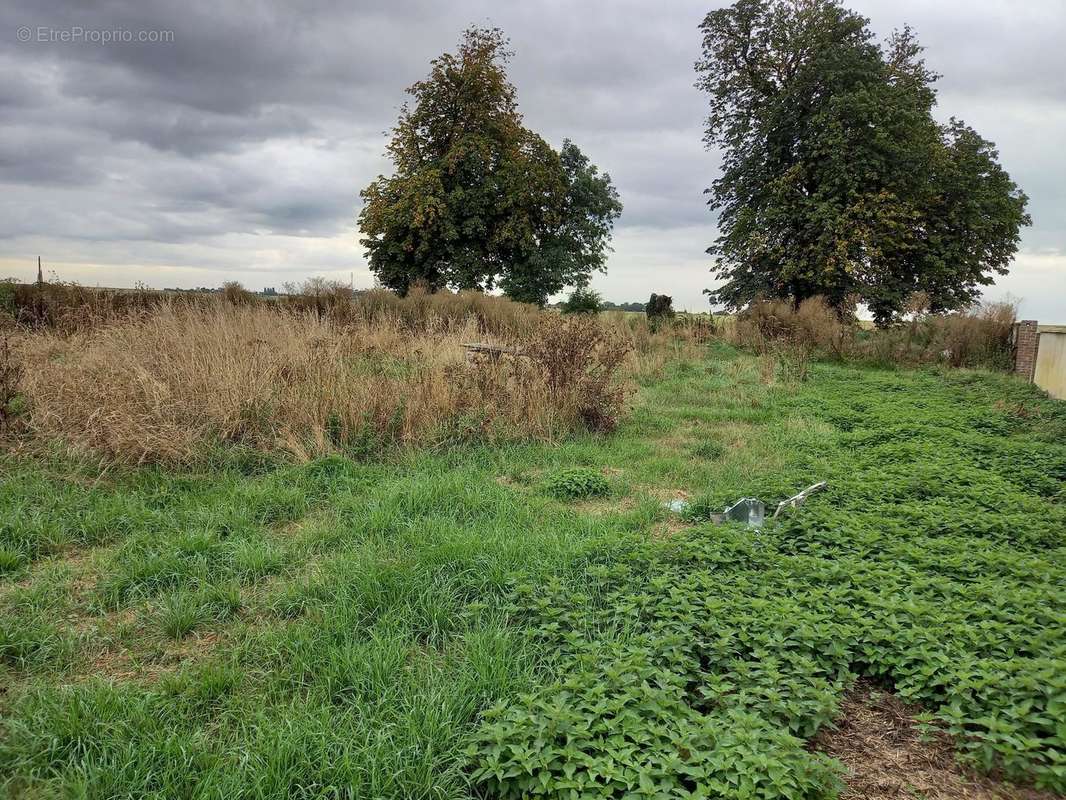 Terrain à VRAIVILLE