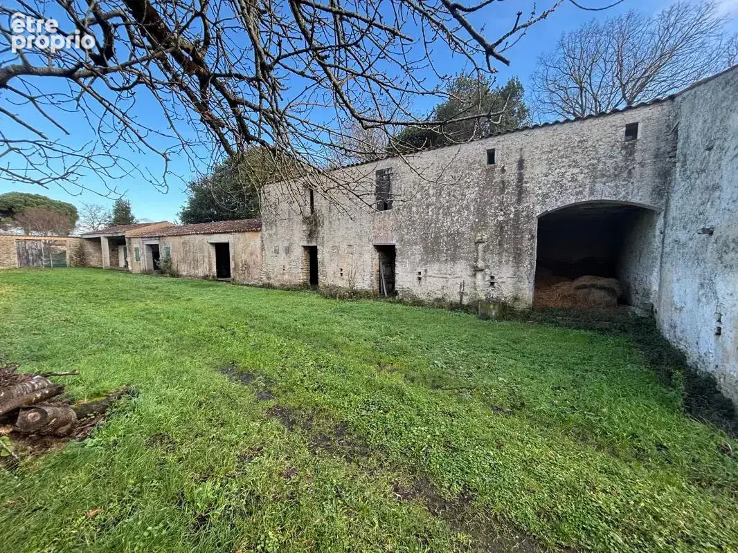 Demeure de charme du XIXᵉ siècle avec dépendances et chais – Île d’Oléron - photo 19