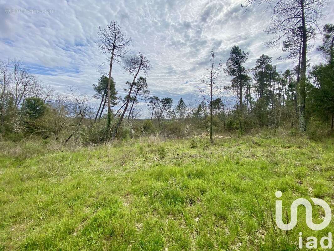 Photo 2 - Terrain à FAYENCE