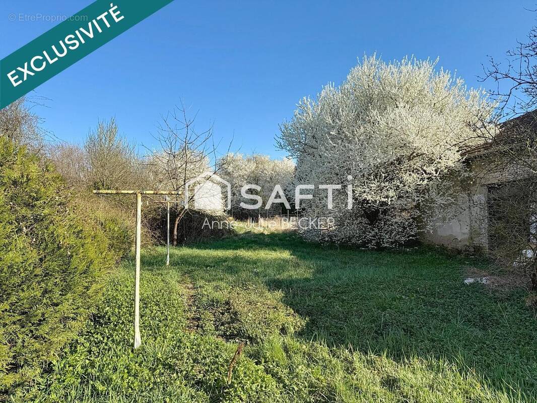Photo 1 - Appartement à SARRALBE