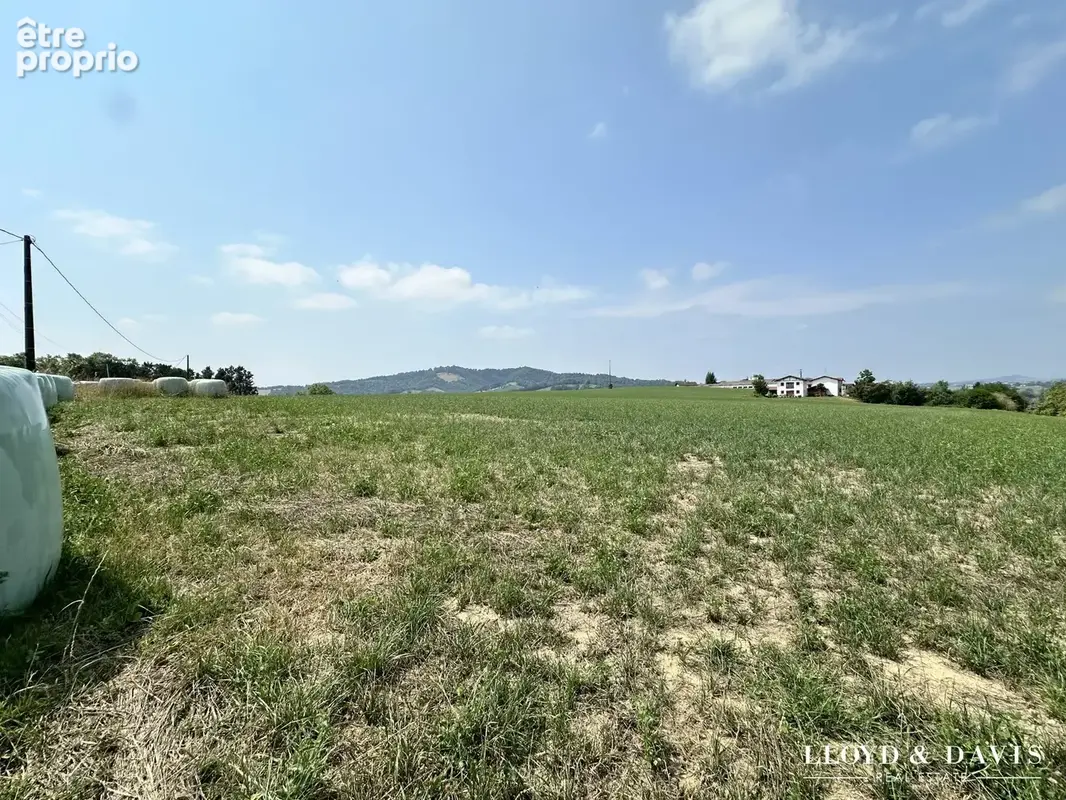 Terrain 7800 m² à Behasque-Lapiste  - photo 3