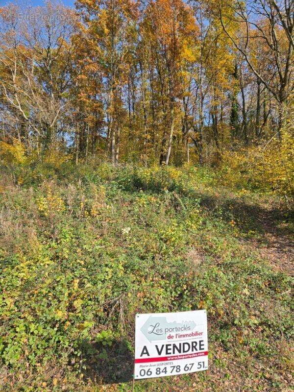 Terrain à NIEDERHASLACH