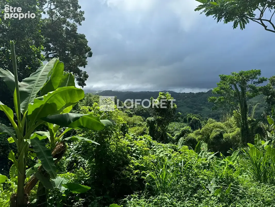 Photo Terrain à Le Lorrain au prix de 97 000€