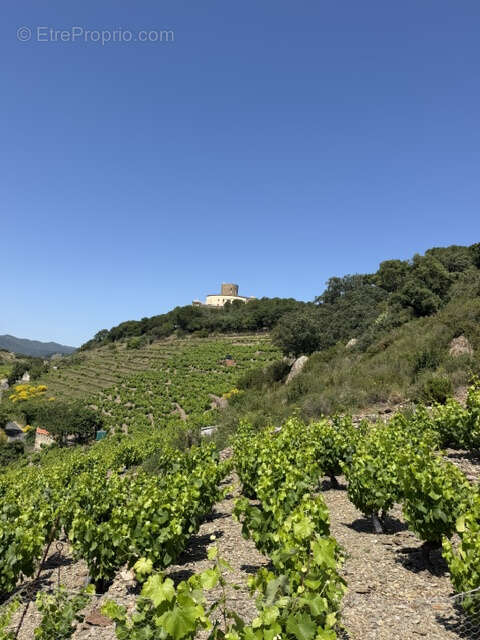 Terrain à COLLIOURE
