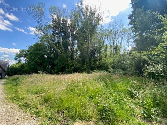 Terrain à GAILLON