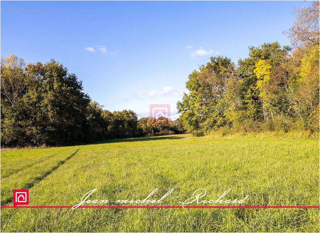 Propriété de chasse Sologne 42 hectares - photo 13