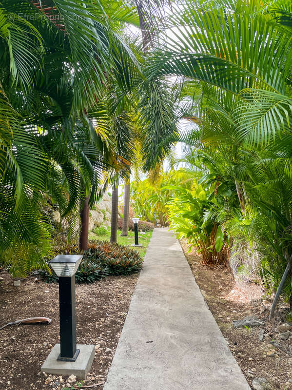 Appartement à SAINT-FRANCOIS