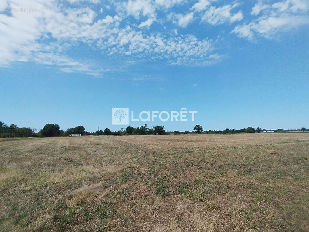 Terres agricoles à Castelsarrasin 170993 m2 - photo 3