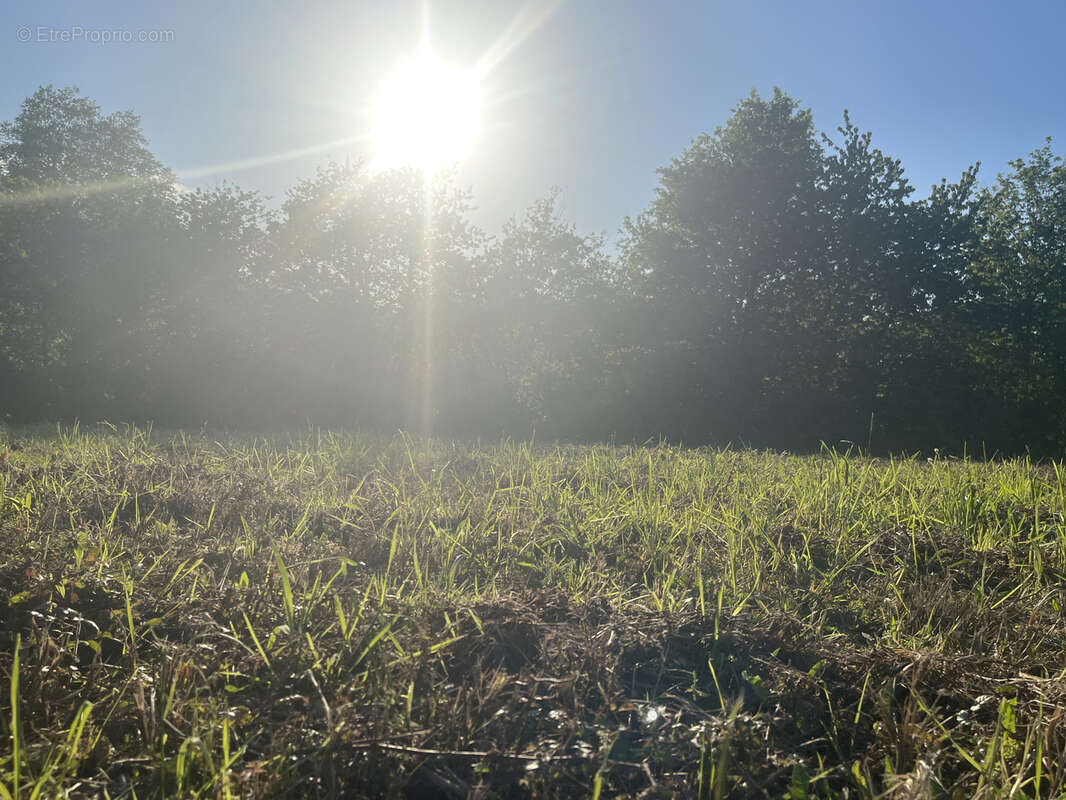Terrain à ORTHEZ