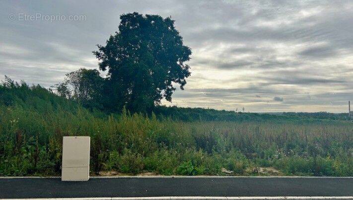 Terrain à RIBECOURT-DRESLINCOURT