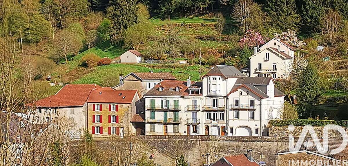 Photo 3 - Appartement à PLOMBIERES-LES-BAINS