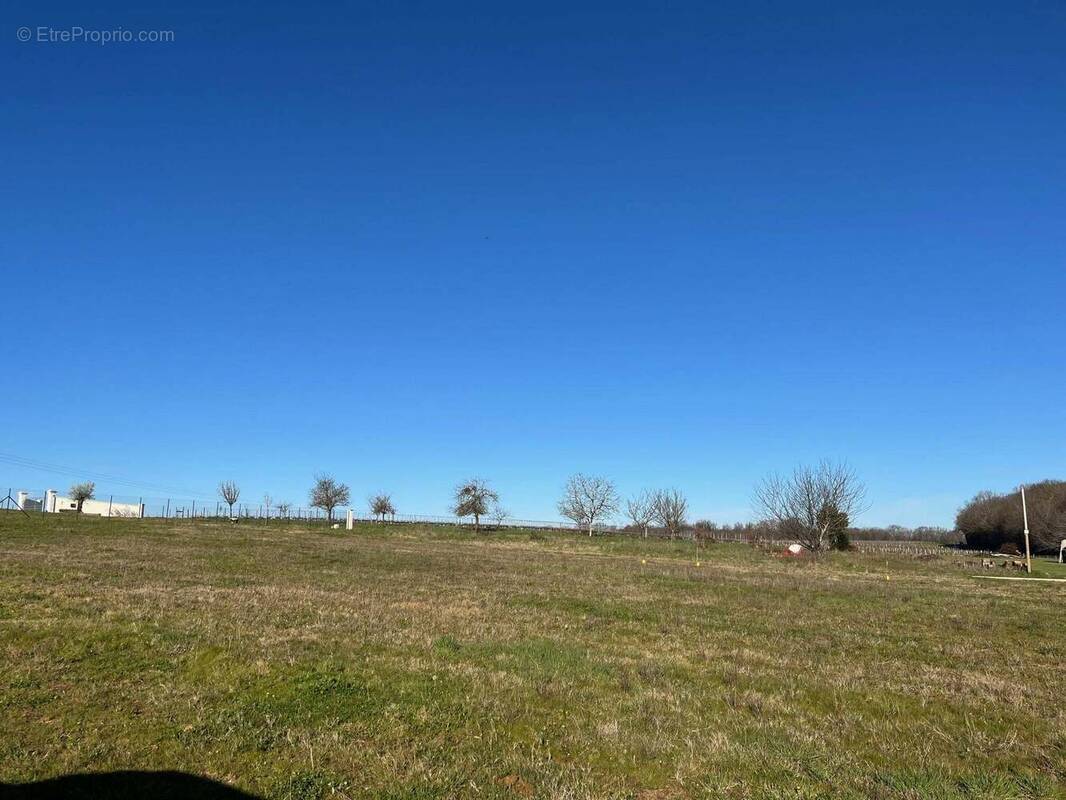 Terrain à LOUZAC-SAINT-ANDRE