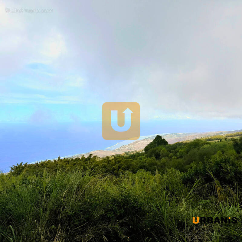 Maison à LES TROIS-BASSINS