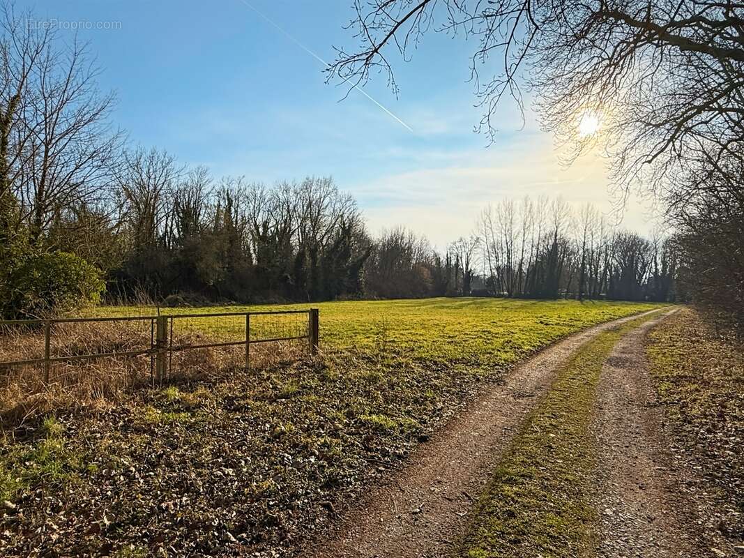 Demeure de Maître à 15min de Cambrai - photo 2