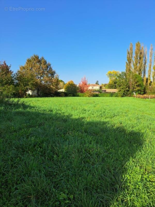 Terrain à SAINT-DENIS-DE-PILE