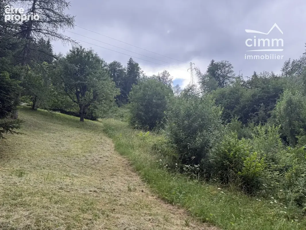Terrain 1 131 m² à vendre à Domancy (74700) - photo 2