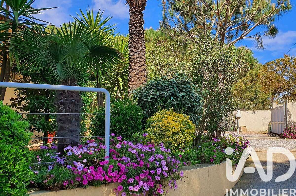 Photo 7 - Maison à AGDE