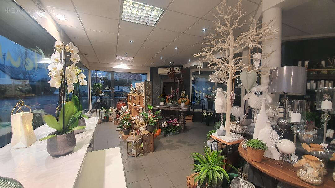 Commerce à BARTENHEIM