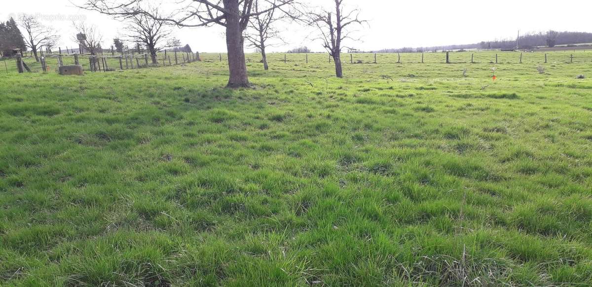 Terrain à VILLERS-LE-SEC