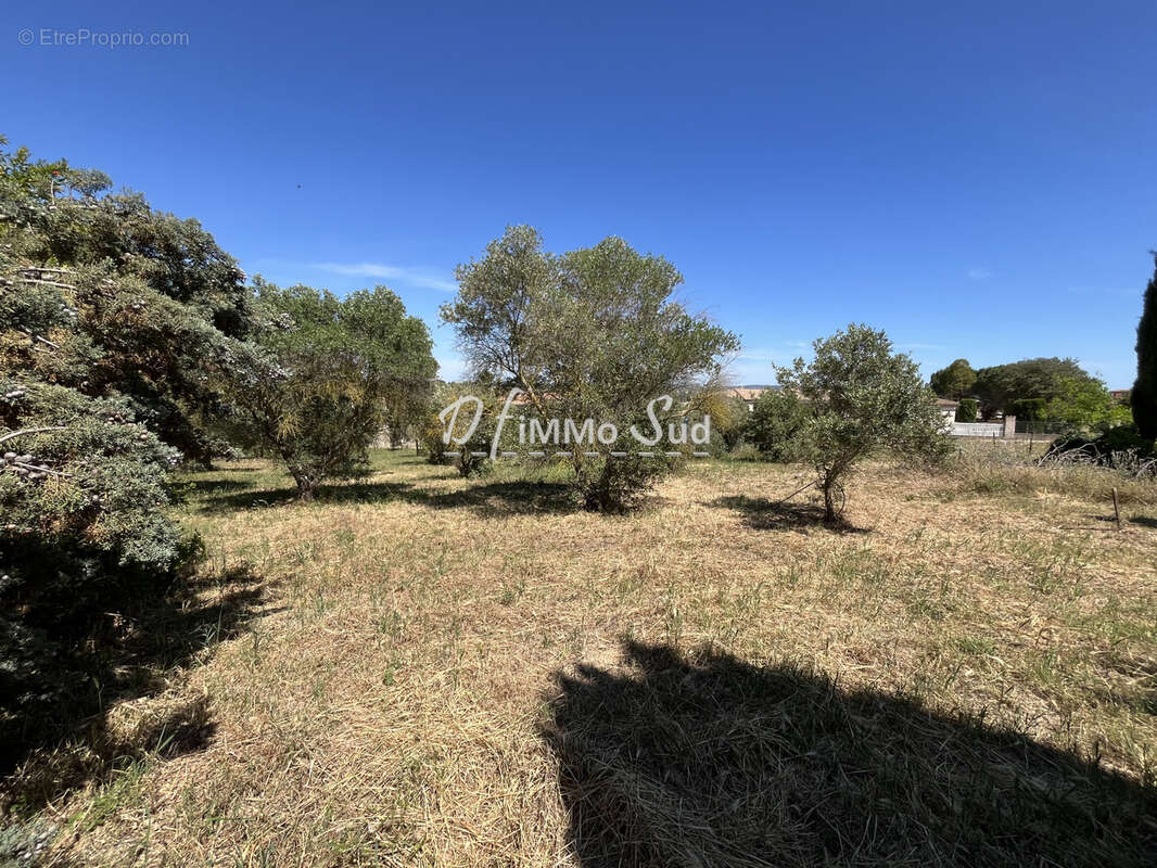 Maison T4 - 4 faces sur terrain exceptionnel de 4 400 m2 à Narbonne - photo 6